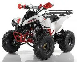 Квадроцикл MOTAX ATV Raptor Super LUX 125 сс