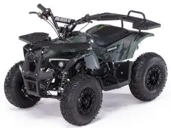 Квадроцикл MOTAX Grizlik X16 ES (эл. стартер)