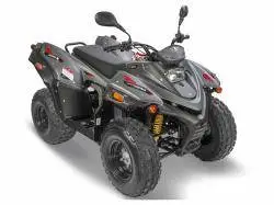 Квадроцикл Stels ATV 200 Leopard