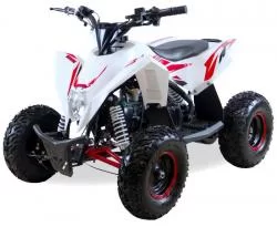 Квадроцикл MOTAX GEKKON 70cc