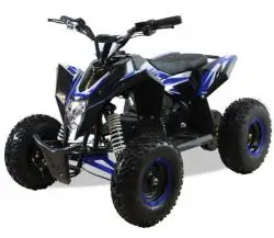 Квадроцикл MOTAX GEKKON 1300W