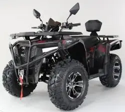 Квадроцикл MOTAX ATV Grizlik 300