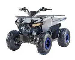 Квадроцикл Regulmoto HAMMER 125