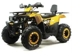 Квадроцикл подростковый MotoLand ATV 200 WILD TRACK-LUX (баланс. вал)