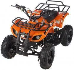 Квадроцикл MOTAX Mini Grizlik X-16 (э/с) на сайте Stels Piter