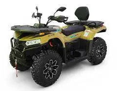 Квадроцикл электрический Bizon YK 450 EL EPS