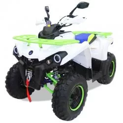 Квадроцикл MOTAX ATV Grizlik 200 New на сайте Stels Piter
