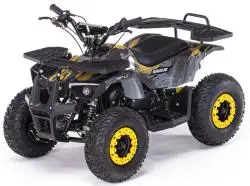 Квадроцикл MOTAX Grizlik X16 ES BW