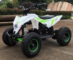 Квадроцикл электрический MOTAX GEKKON 1300W на сайте Stels Piter