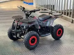 Квадроцикл MOTAX Mini Grizlik X-16 Big Wheel E1000W