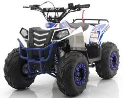 Квадроцикл MOTAX ATV Grizlik A110 на сайте Stels Piter