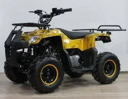 Квадроцикл детский YACOTA SMARTY 110 на сайте Stels Piter