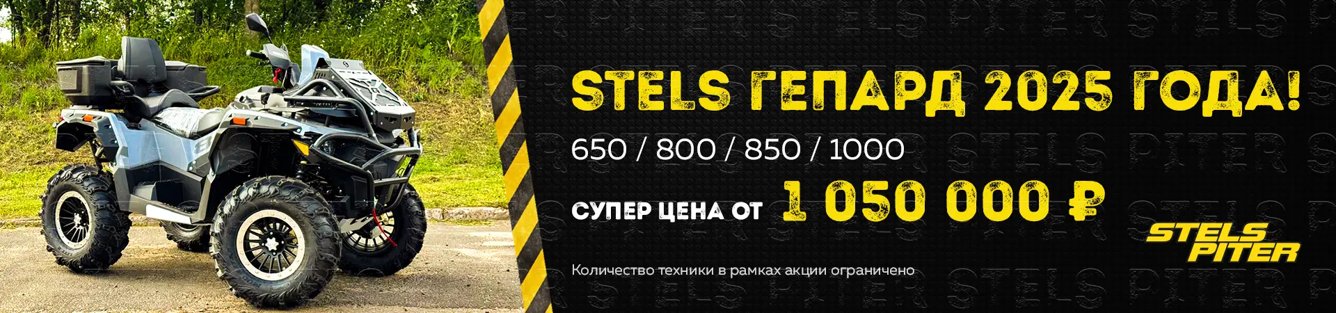 Акция Гепард