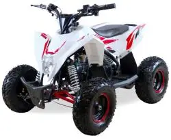 Квадроцикл MOTAX GEKKON 90cc