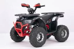 Квадроцикл YACOTA SIRIUS 125 LD