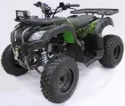 Квадроцикл MOTAX ATV Grizlik 200 Lux (с лебедкой) на сайте Stels Piter