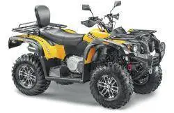 Квадроцикл Stels ATV 600 YL Leopard K01