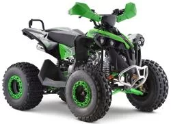 Квадроцикл YACOTA RENEGADE