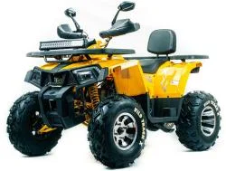 Квадроцикл подростковый MotoLand ATV 200 WILD TRACK X-PRO