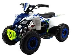 Квадроцикл электрический детский MOTOLAND ATV E010 1000Вт