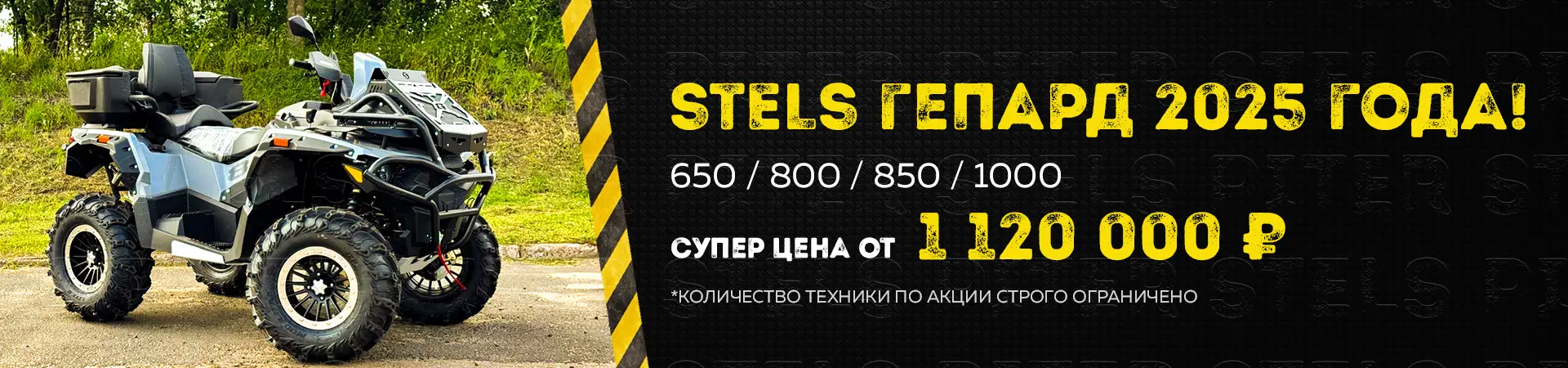 Акция Гепард