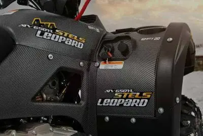 ATV 600L 650L leopard 3 600 auto jpg