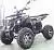 Квадроцикл электрический MOTAX ATV GRIZLIK E3000 4WD на сайте Stels Piter