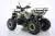 Квадроцикл YACOTA WARRIOR 200 PRO на сайте Stels Piter