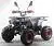 Квадроцикл MOTAX ATV Grizlik Premium 125сс на сайте Stels Piter