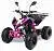 Квадроцикл MOTAX ATV T-Rex-LUX 125 сс на сайте Stels Piter