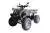 Квадроцикл WELS ATV Thunder LUX Квадроцикл WELS ATV Thunder LUX