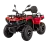 Квадроцикл Bizon YK 200 Basic Carb