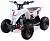 Квадроцикл MOTAX GEKKON 90cc на сайте Stels Piter