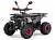 Квадроцикл MOTAX ATV Grizlik 125сс на сайте Stels Piter