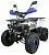Квадроцикл ATV Classic 8+ New