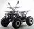 Квадроцикл MOTAX ATV Grizlik W8 125сс на сайте Stels Piter