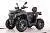 Квадроцикл MOTAX ATV Grizlik T 250 Pro на сайте Stels Piter