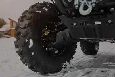 ATV 600L 650L leopard 8 600 auto jpg