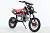 Питбайк WELS CRF110 на сайте Stels Piter