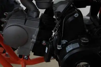 Квадроцикл MOTAX ATV T-Rex Super LUX 125 сс на сайте Stels Piter