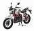 Мотоцикл Regulmoto Raptor на сайте Stels Piter