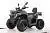 Квадроцикл MOTAX ATV Grizlik T 250 Basic на сайте Stels Piter