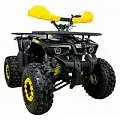КВАДРОЦИКЛЫ ATV Classic