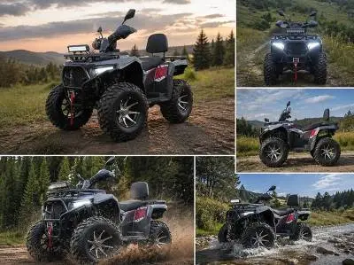 Kvadrotsikl Avantis Hunter 350 Lux PTS kupit v SPb 14