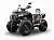 Kvadrotsikl Avantis Hunter 350 Lux PTS