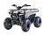 Квадроцикл Regulmoto HAMMER 125 на сайте Stels Piter