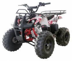 Квадроцикл WELS ATV Thunder 125 Basic