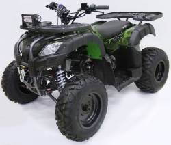 Квадроцикл MOTAX ATV Grizlik 200 Lux (с лебедкой)
