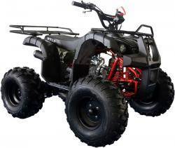 Квадроцикл WELS ATV Thunder 125 Basic