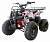 Квадроцикл WELS ATV Thunder 125 Basic